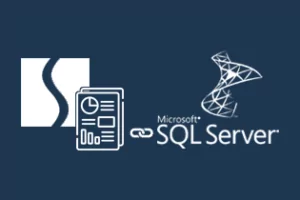 Stimulsoft reporting tool connected to SQL Server database